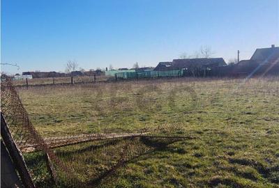 Teren de 1035 mp, în Cefa - 3