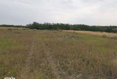 Teren de 8700 mp, în Central