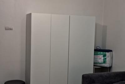 Garsonieră semidecomandată, mobilată în Costin Georgian - 6