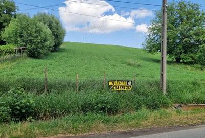 Teren intravilan Petia - 2