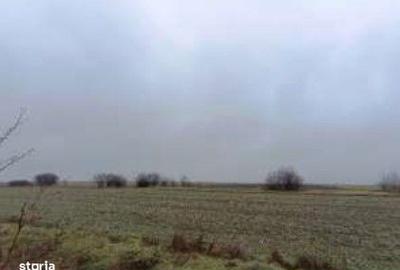 Teren de 6000 mp, în Ciocârlia - 3