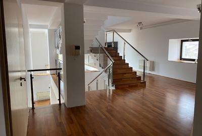 Casă individuală cu 7 camere cu Teren 3000 Mp în Micălaca - 14