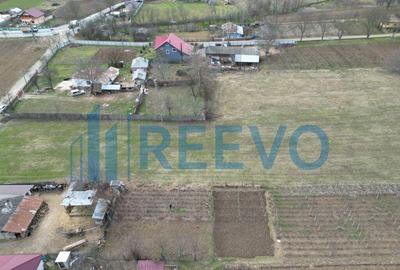 Teren de vanzare, Sat Bazga, Com. Horge?ti, Bacau - 6