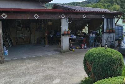 Casă cu Teren 2800 Mp în Toplița - 3