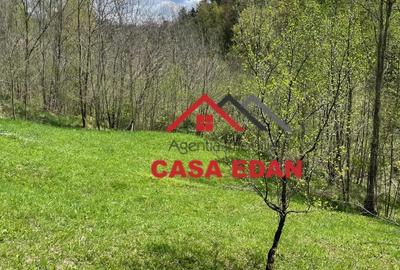 Teren de 9104 mp, în Brebu - 5