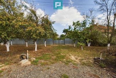 Casa cu teren 2877 mp, ora?ul Ineu - 1