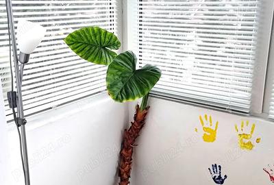 Apartament cu 2 camere semidecomandat în Astra