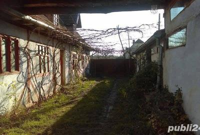 Casă cu 4 camere cu Teren 6500 Mp în Ineu - 2