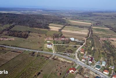 Teren de 6650 mp, în Remetea Chioarului - 13