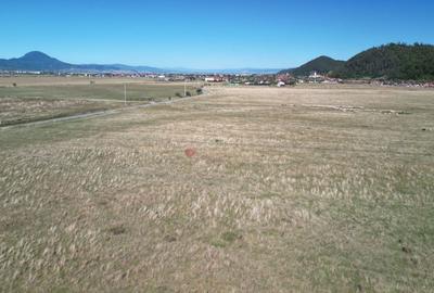 Teren extravilan Rasnov - 15