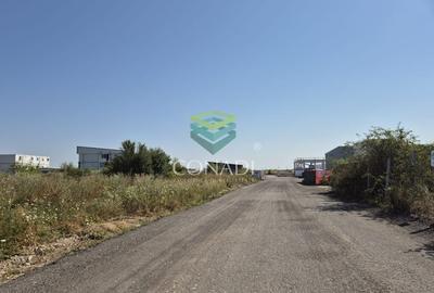 Teren de vanzare cu autorizatie pentru 2 hale - Otopeni - 10.000 mp - 12