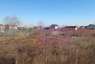 Teren de 1000 mp, în Săbăreni - 3