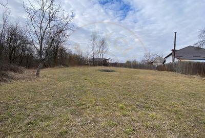 Teren Construcții intravilan de 2889 mp, în Albota - 2