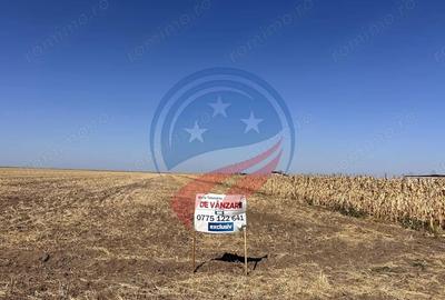 Teren de 5087 mp, în Central