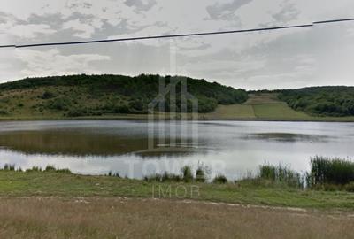 Teren EXTRAVILAN de vânzare în Săcel - 2