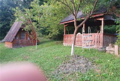 Casă cu 5 camere cu Teren 1258 Mp în Brad - 6