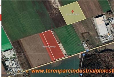 Teren în Vest - 2