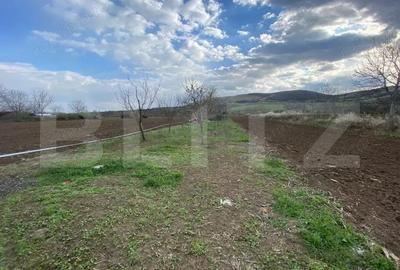 Casa de vanzare, cu 3 camere, 106 mp +2800 mp teren, zona Benic - 12