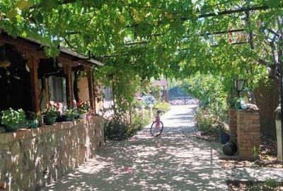 Casa de vanzare in comuna Costache Negri - 15