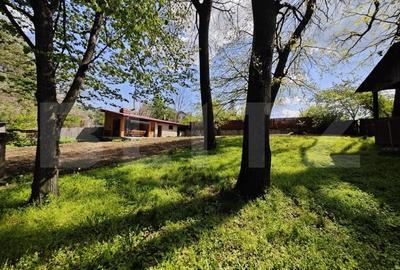 Casuta de vacanta in padure , zona Barnova - 2