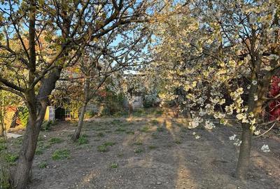 Casă cu 3 camere în Central - 2