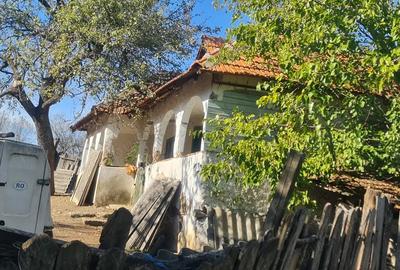 Casa si pamant agricol de vanzare Casa si pamant agricol de vanzare - 1