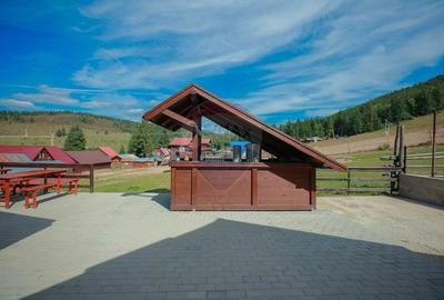Oportunitate de investitie, Restaurantul Piatra Graitoare,Vartop,Bihor - 7