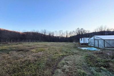 Teren in zona de locuinte, P+2, toate utilitatile! 0% comision. - 5