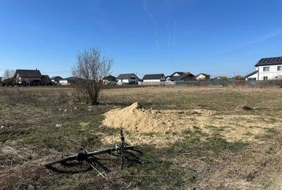 Spațiu comercial, în Șag