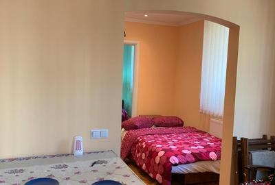 Apartament cu 2 camere în Dacia - 17