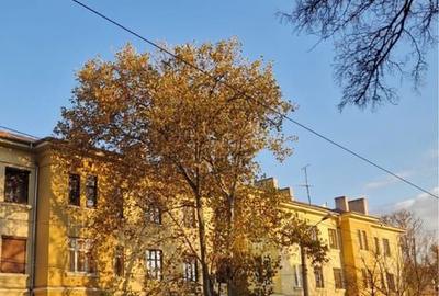 Apartament cu 3 camere decomandat în Gării - 8