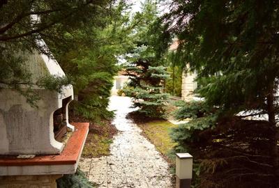 Casă cu 4 camere cu Teren 1200 Mp în Central - 2