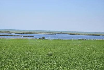 Teren de 5000 mp, în Jurilovca - 7