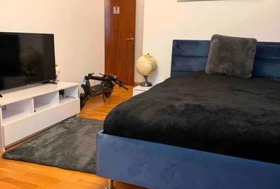 Apartament cu 4 camere decomandat în Iancu Nicolae - 2