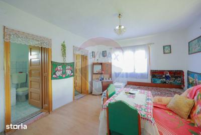 Casă cu 5 camere cu Teren 55706 Mp în Șinteu - 10