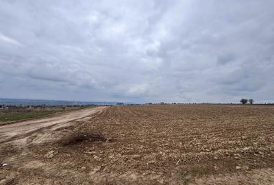 Spațiu comercial, în Central - 1