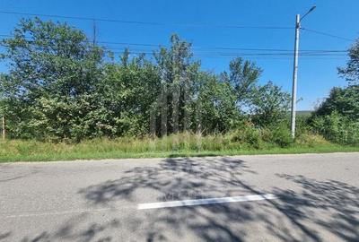 EXCLUSIVITATE! Teren la șoseaua principală | Tocile - 4