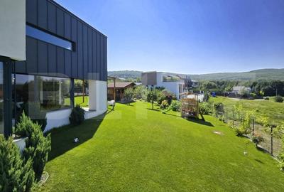 Vila  spectaculoasa de vanzare in Faget - 4