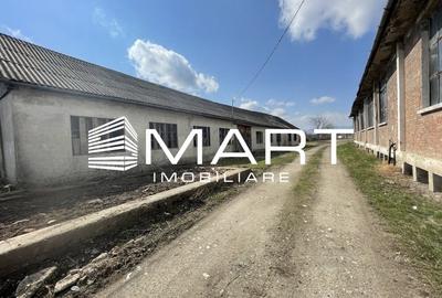 Teren intravilan 16000 mp + hale Calea Surii Mici - 1
