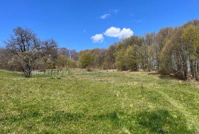 Teren de 3600 mp, în Exterior Vest - 2