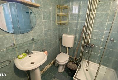 Casă cu 2 camere cu Teren 100 Mp în Someșeni - 8