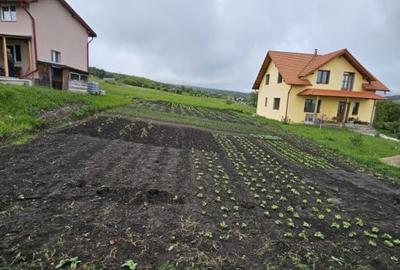 Teren de 500mp, extravilan Valea fanatelor - 1