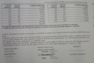 Teren de 8000 mp, în Vama - 1
