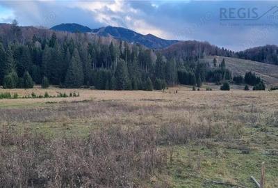 Teren intravilan zona Silver Mountain , Poiana Brasov - 3