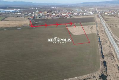 Teren Construcții intravilan de 700 mp, în Bod - 3