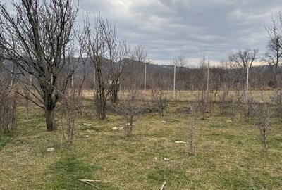 Teren de 5200 mp, în Brebu - 1