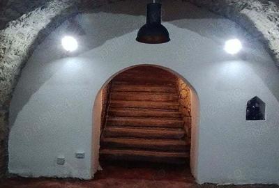 Spațiu comercial, de 45 mp, în Gară - 9