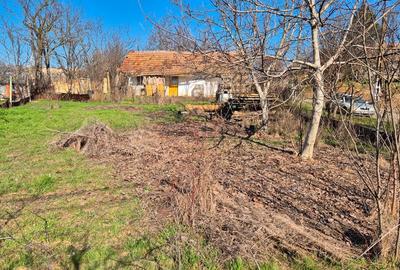Casă individuală cu 2 camere cu Canalizare în Carani - 3
