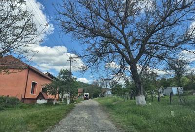 Teren de 1400 mp, în Goruia - 1