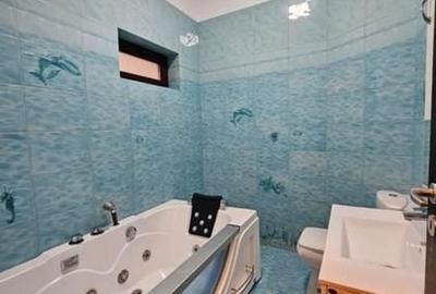 Apartament spațios 3 camere, etaj 1 vilă, pet friendly, Ferdinand - 10